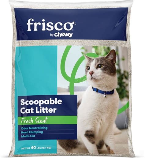 best and cheapest cat litter.